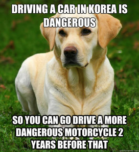 Dog Logic