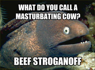 Bad Joke Eel
