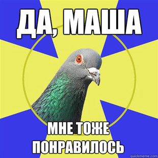 Religion Pigeon