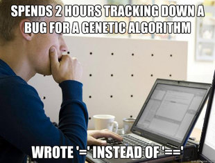 Programmer