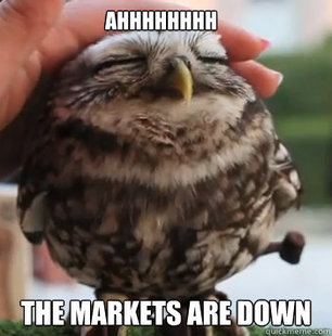 cute owl
