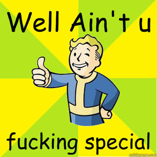 Fallout new vegas