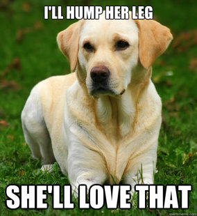 Dog Logic