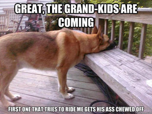 First World Dog problems