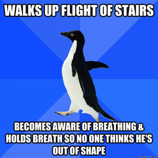 Socially Awkward Penguin