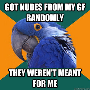 Paranoid Parrot