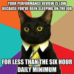 Business Cat