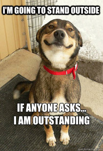 Good Dog Greg