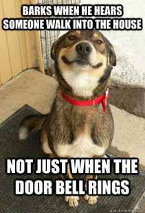 Good Dog Greg
