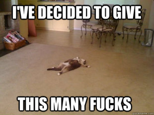 Down Cat
