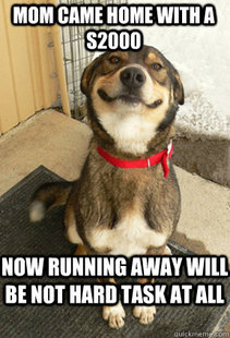 Good Dog Greg