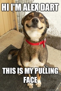 Good Dog Greg