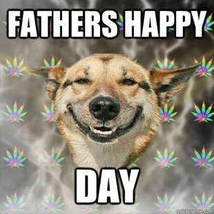 Stoner Dog