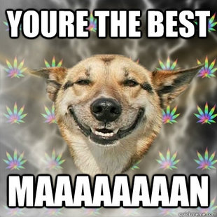 Stoner Dog