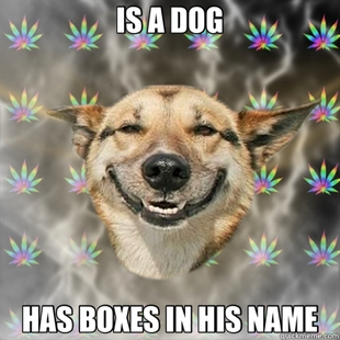 Stoner Dog