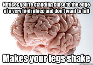 Scumbag Brain