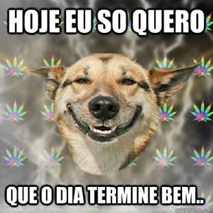 Stoner Dog