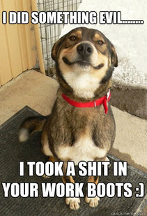 Good Dog Greg