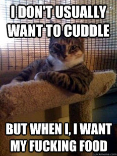 The Most Interesting Cat in the World