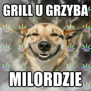 Stoner Dog