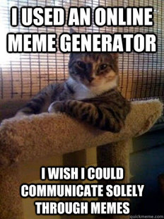 The Most Interesting Cat in the World