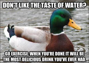 Actual Advice Mallard