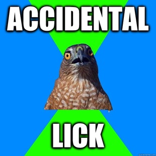 Hawkward