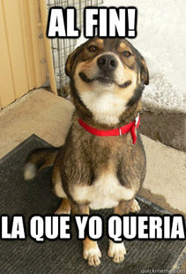 Good Dog Greg