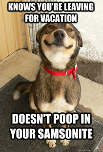 Good Dog Greg