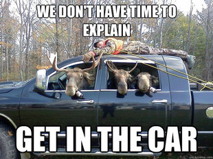 GET IN THE CAR
