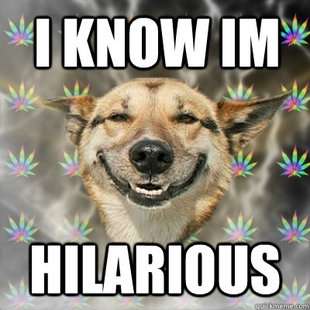 Stoner Dog