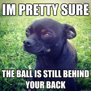 Skeptical Dog