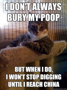 The Most Interesting Cat in the World