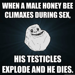 Forever Alone