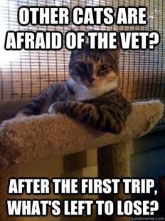 The Most Interesting Cat in the World