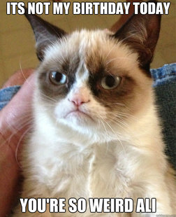 Grumpy Cat