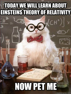 Chemistry Cat