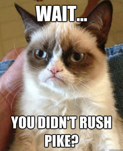 Grumpy Cat