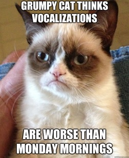 Grumpy Cat