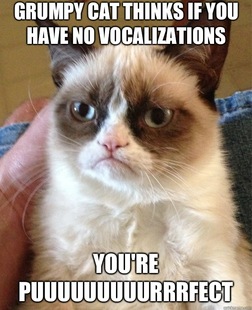 Grumpy Cat
