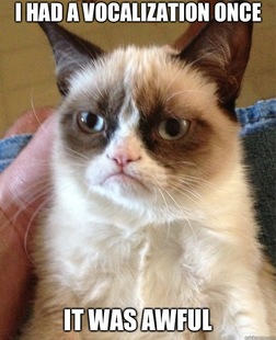 Grumpy Cat