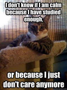 The Most Interesting Cat in the World