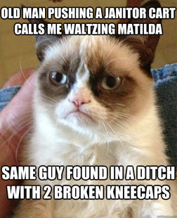 Grumpy Cat