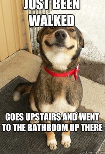 Good Dog Greg
