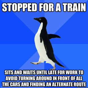 Socially Awkward Penguin