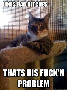 The Most Interesting Cat in the World