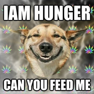 Stoner Dog
