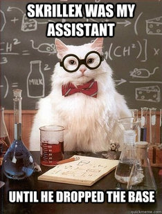 Chemistry Cat
