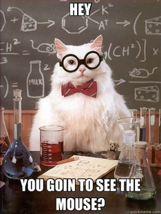 Chemistry Cat