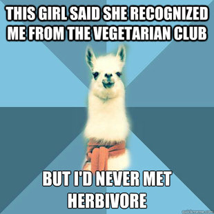 Linguist Llama